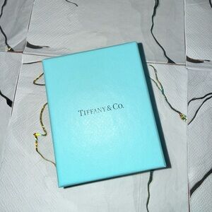Tiffany & Co. Turquoise Pouch with Pearl Bracelet